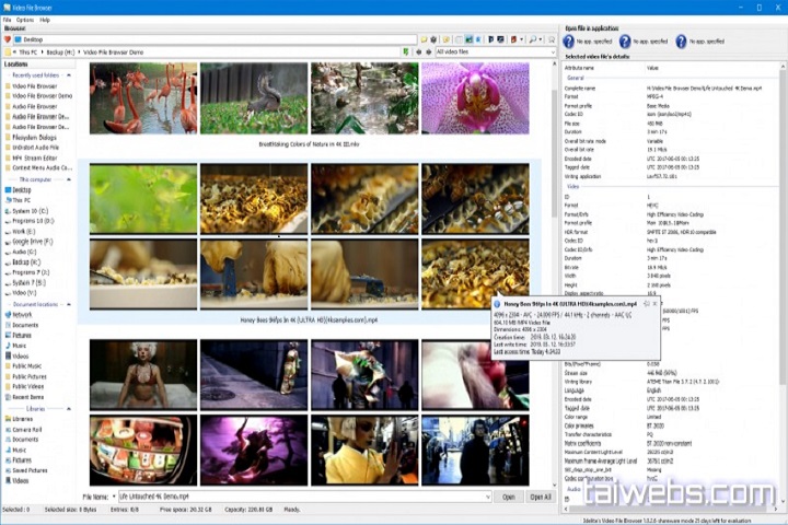 3delite Video Manager 1.2.140.160 Free Download with Patch