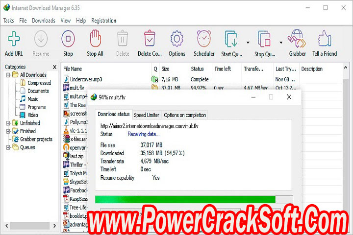 Internet Download Manager v6.41 Build2 Free Download with Crack