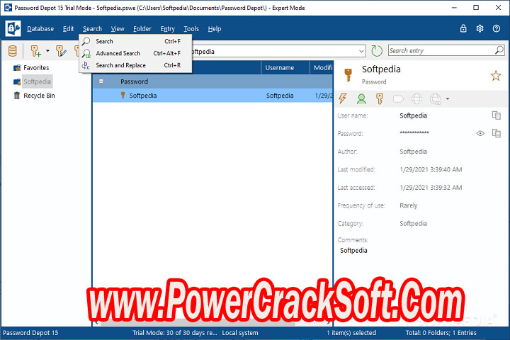 Password Depot 17.0.1 x 86 Multilingual Free Download with Patch