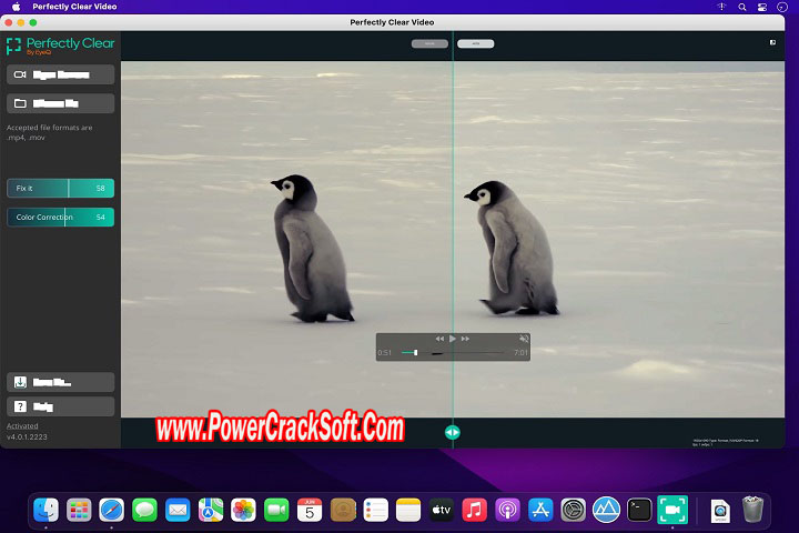 Perfectly Clear Video 4.6.0.2605 PC Software